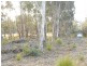 2 Lake View Road, Lake Leake TAS 7210