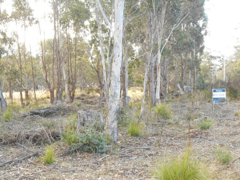 2 Lake View Road, Lake Leake TAS 7210