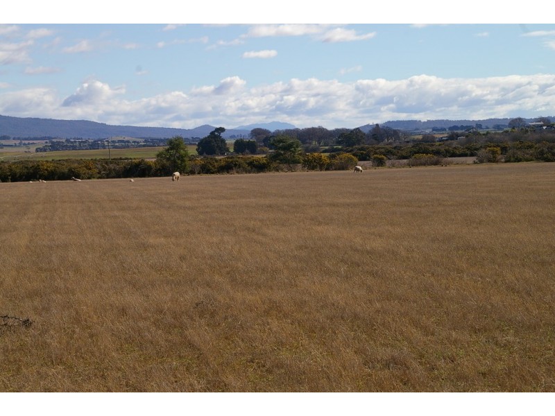 75 Clayfield Road, Bishopsbourne TAS 7301