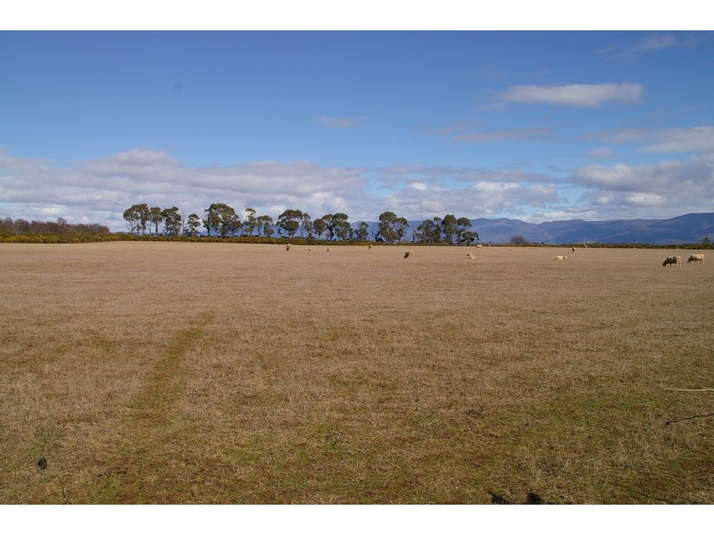 75 Clayfield Road, Bishopsbourne TAS 7301