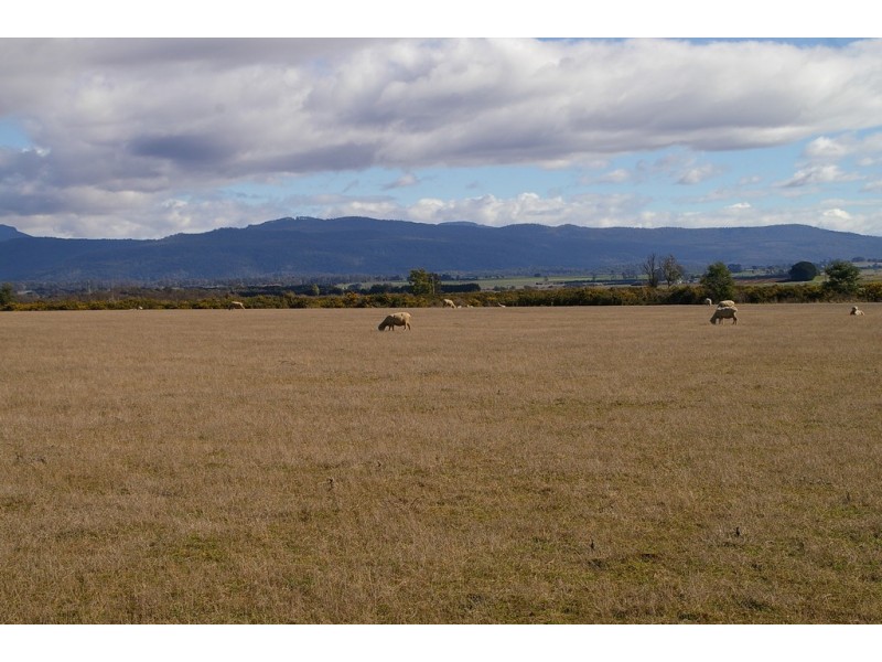 75 Clayfield Road, Bishopsbourne TAS 7301