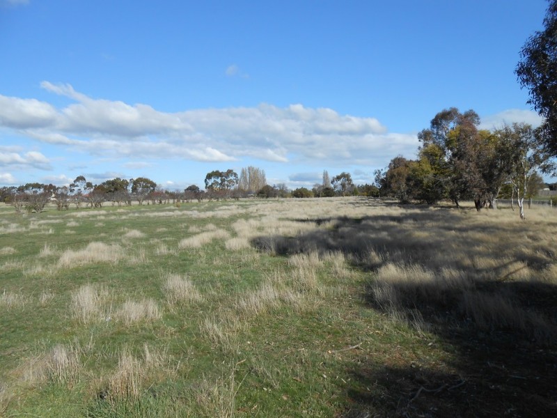 2 Nicolson Court, Campbell Town TAS 7210