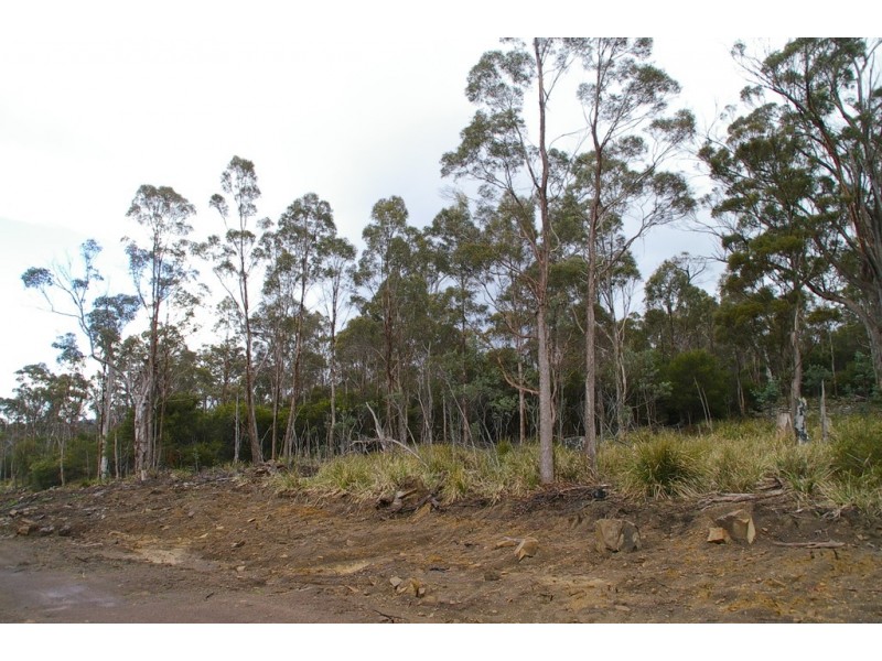 Lot 3 Distillery Track, Nunamara TAS 7259