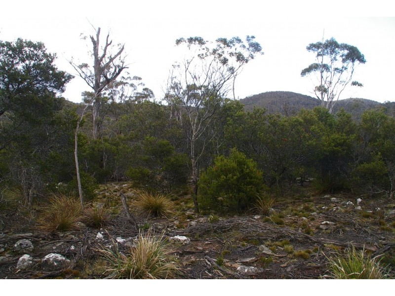 Lot 3 Distillery Track, Nunamara TAS 7259