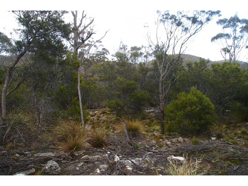 Lot 3 Distillery Track, Nunamara TAS 7259