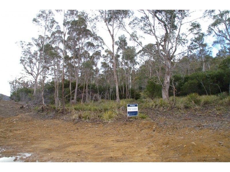 Lot 3 Distillery Track, Nunamara TAS 7259