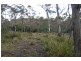 Lot 3 Distillery Track, Nunamara TAS 7259