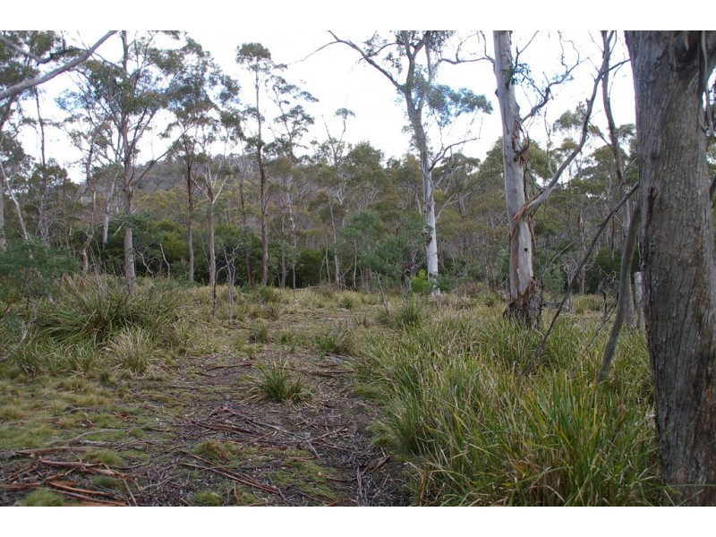 Lot 3 Distillery Track, Nunamara TAS 7259