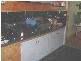 117 Main Street, Cressy TAS 7302