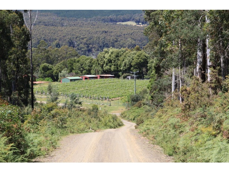 238 Myrtle Creek Road, Liffey TAS 7301