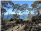 Lot 2 Seals Road, Brandum TAS 7304
