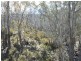 Lot 2 Seals Road, Brandum TAS 7304