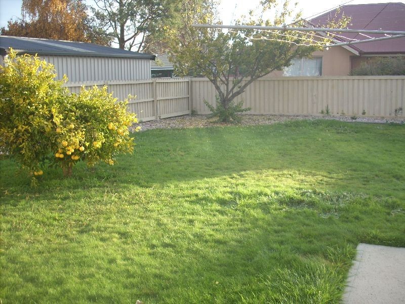 6 Mulgrave Street, Perth TAS 7300