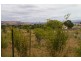 2 Waterloo Street, Ross TAS 7209
