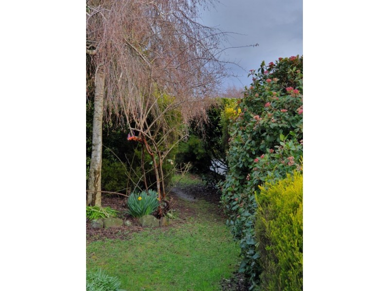 21 Hartnoll Place, Evandale TAS 7212