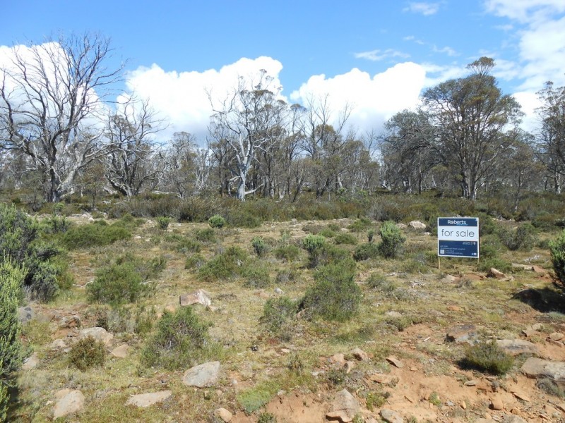 161 Barren Plains Road, Miena TAS 7030