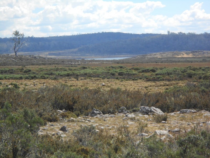 161 Barren Plains Road, Miena TAS 7030