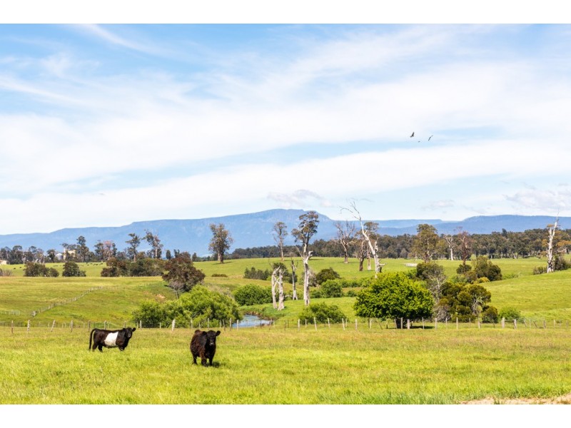 54 Bishopsbourne Road, Carrick TAS 7291