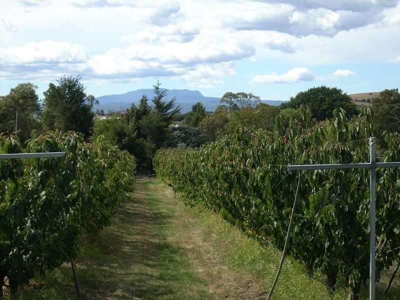 880 Hobart Road, Breadalbane TAS 7258