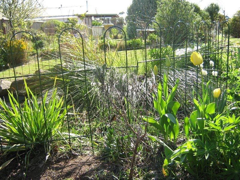 150  Bridge Street, Campbell Town TAS 7210