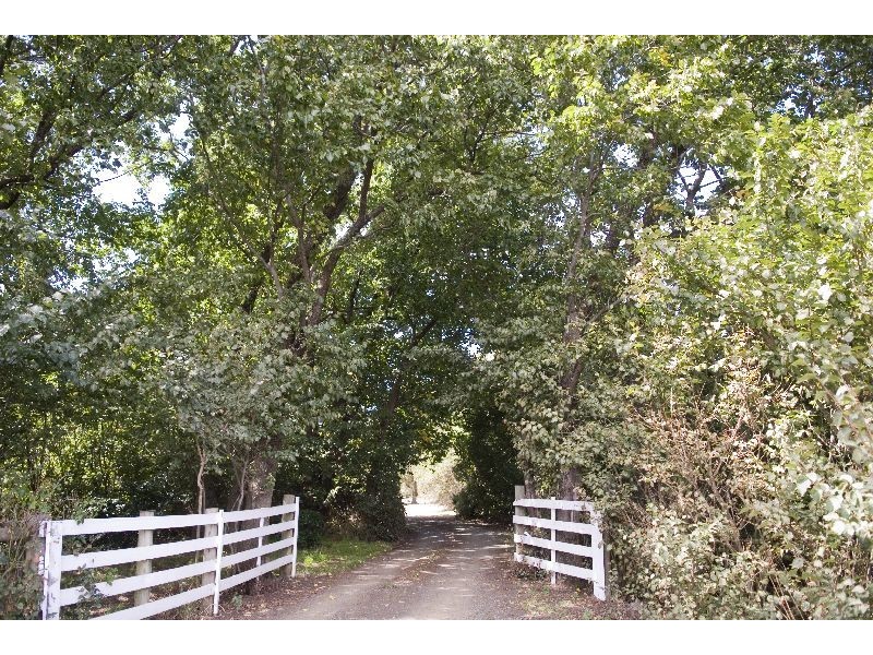 Pateena Road, Longford TAS 7301