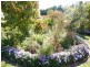 2 William Street, Perth TAS 7300
