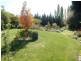 2 William Street, Perth TAS 7300