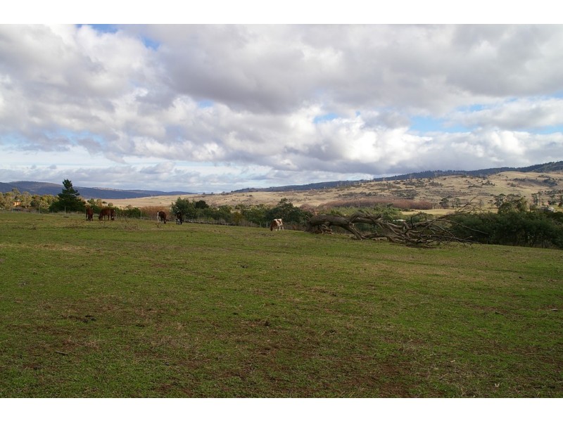 2 Arthur Street, Avoca TAS 7213