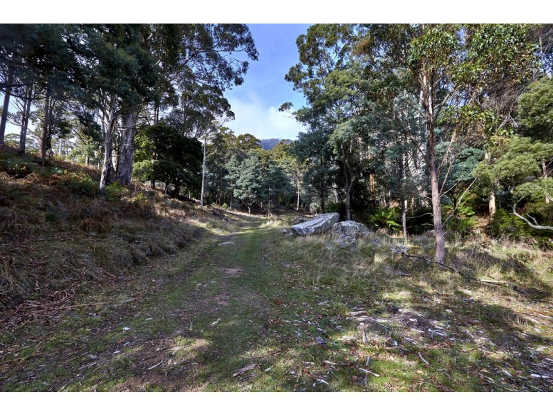 307 Gulf Road, Liffey TAS 7301