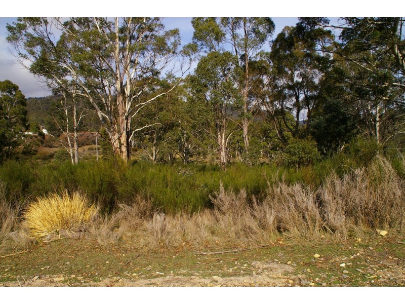 19 Baker Street, Rossarden TAS 7213