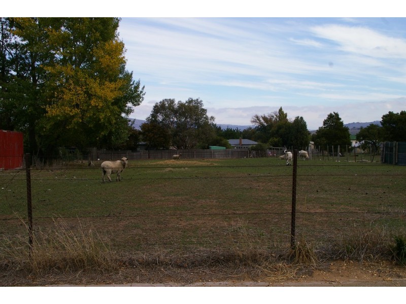 4 Gray Street, Avoca TAS 7213