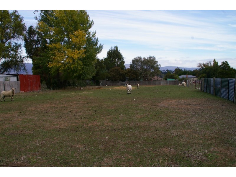 4 Gray Street, Avoca TAS 7213