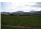 43 Falmouth Street, Avoca TAS 7213