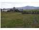 43 Falmouth Street, Avoca TAS 7213