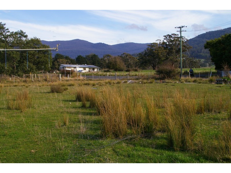 Blackwood Creek TAS 7301