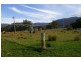 Blackwood Creek TAS 7301