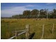 Blackwood Creek TAS 7301