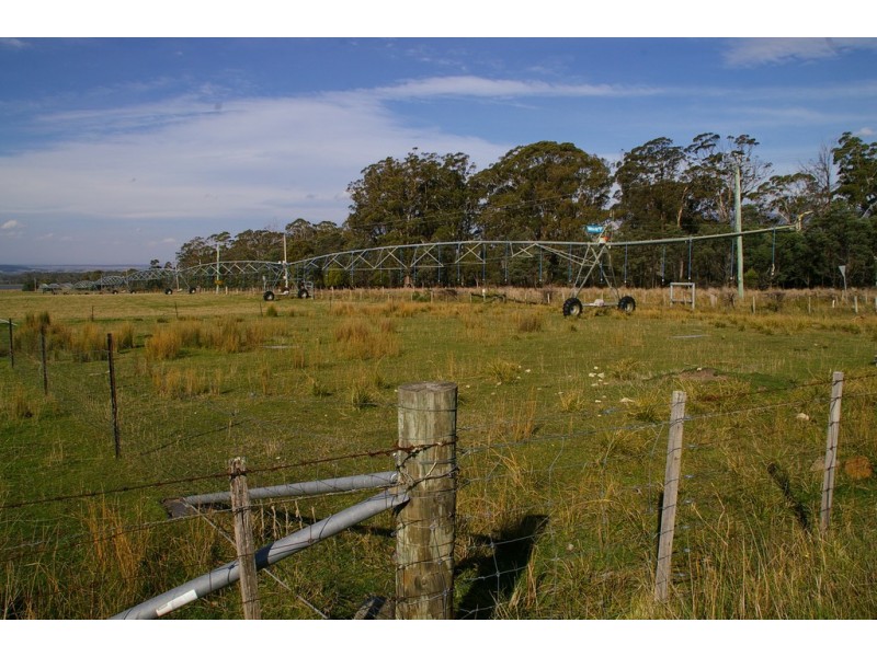 Blackwood Creek TAS 7301