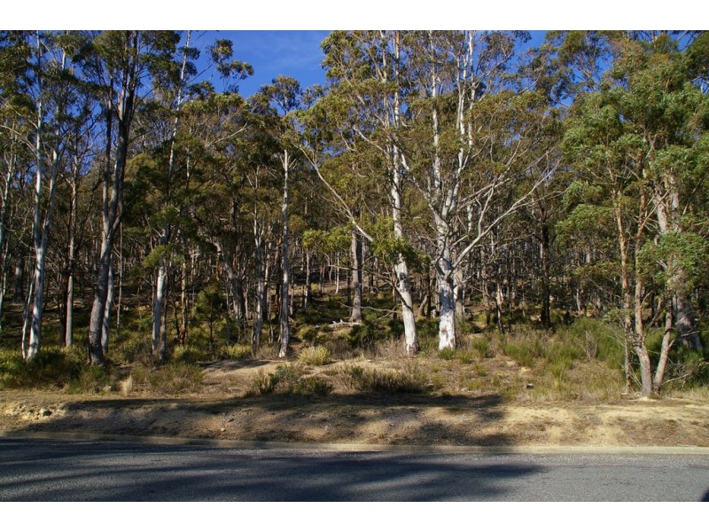 42-46 Lee Street, Rossarden TAS 7213