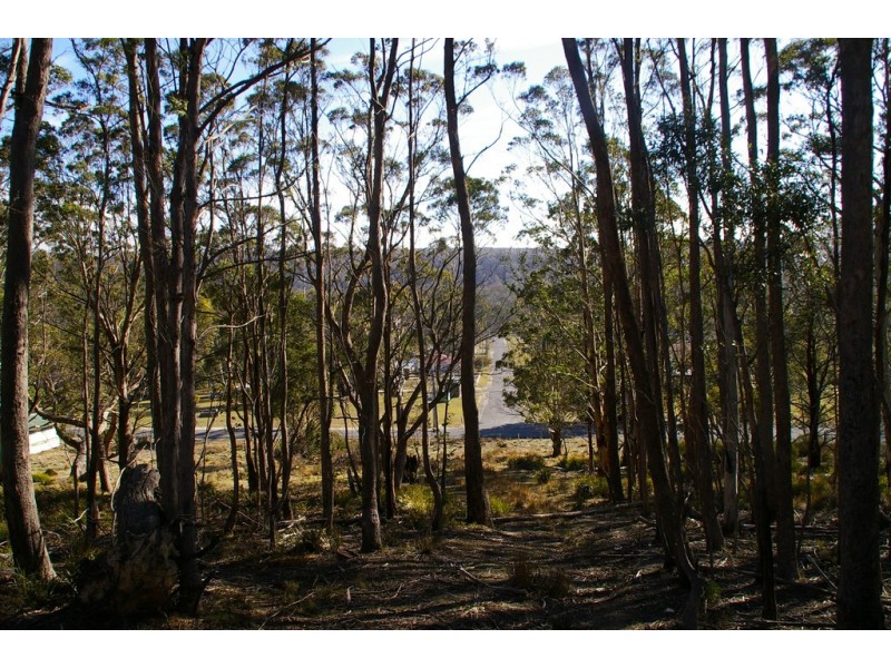 42-46 Lee Street, Rossarden TAS 7213