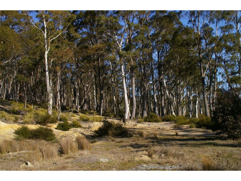 42-46 Lee Street, Rossarden TAS 7213