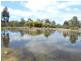 5 Collins Street, Perth TAS 7300