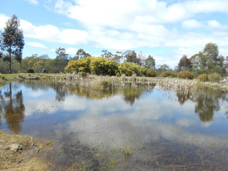 5 Collins Street, Perth TAS 7300