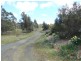 5 Collins Street, Perth TAS 7300