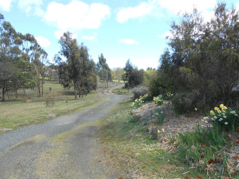 5 Collins Street, Perth TAS 7300