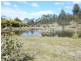 5 Collins Street, Perth TAS 7300
