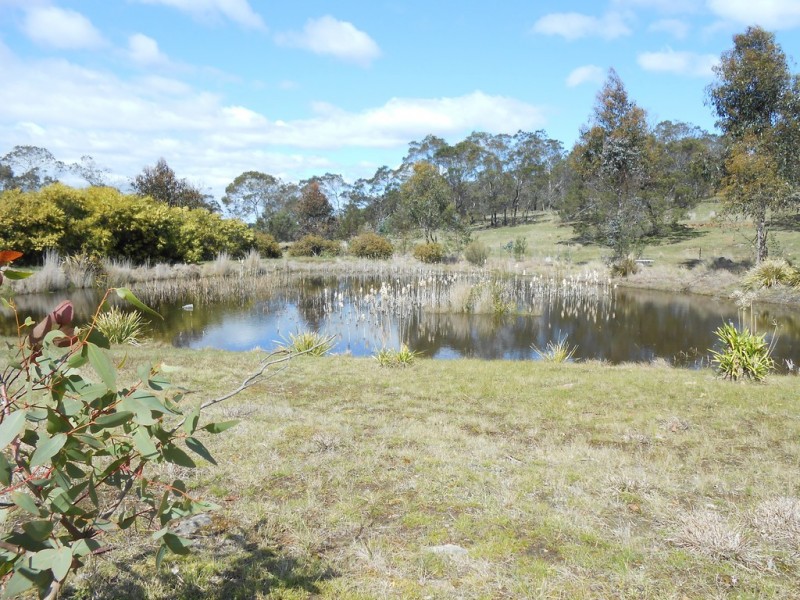 5 Collins Street, Perth TAS 7300