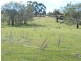 5 Collins Street, Perth TAS 7300