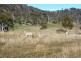 548 Sawpit Hill Road, Blessington TAS 7212