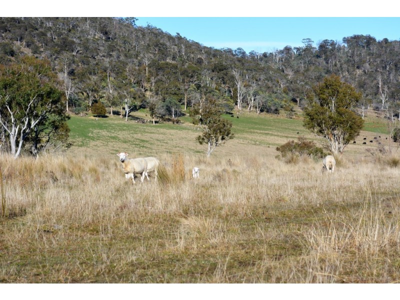548 Sawpit Hill Road, Blessington TAS 7212